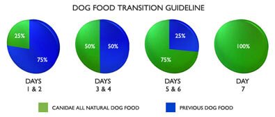 Canidae Pet Food. Tips to Transitioning to new brand